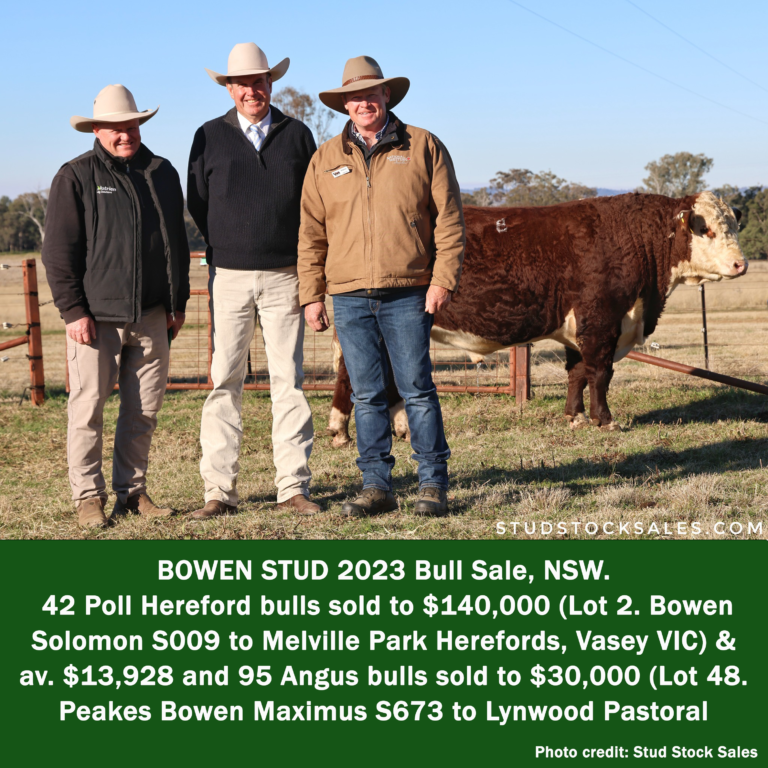 Bowen Stud Home of Bowen Poll Herefords and Peake Angus
