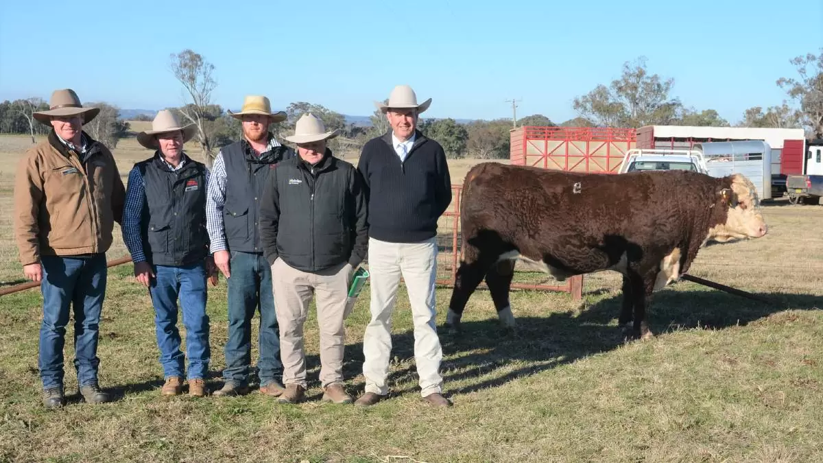 2023 BULL SALE
