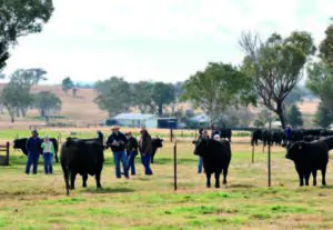 Final Bowen Sale